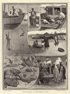 ペルシャ湾の真珠釣り